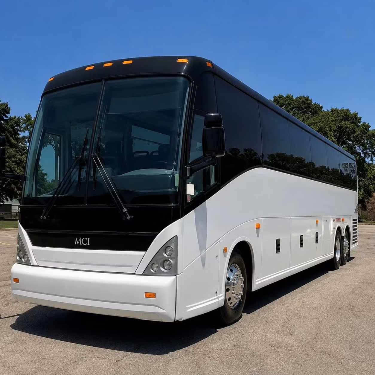 alexandria school field trip charter bus rentals