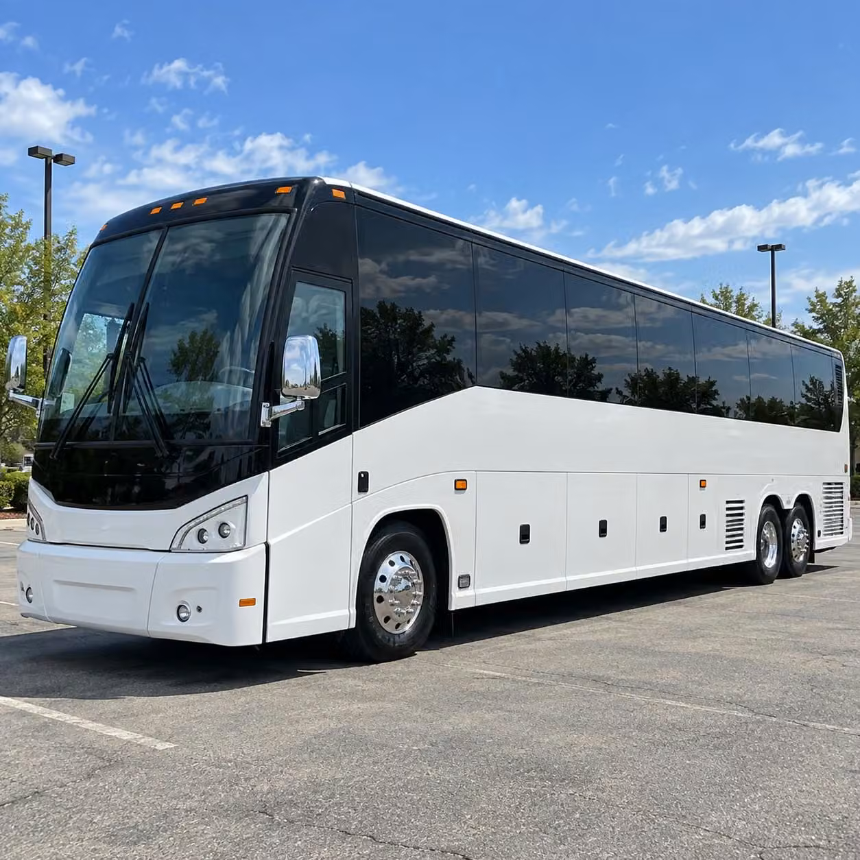 prom transportation for t c williams west potomac and every alexandria high school
